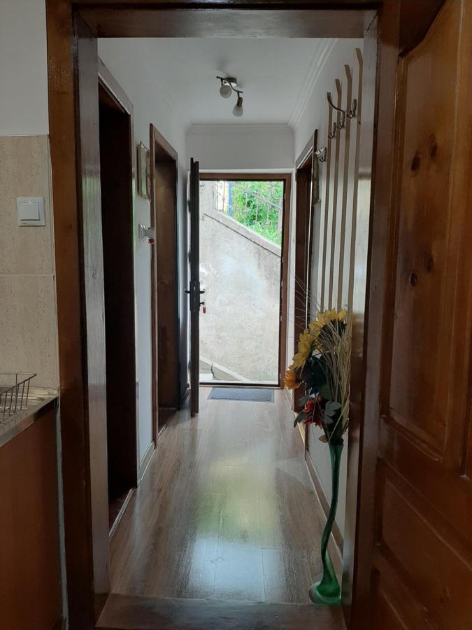 Apartament Casa Hermann Sighișoara Zewnętrze zdjęcie